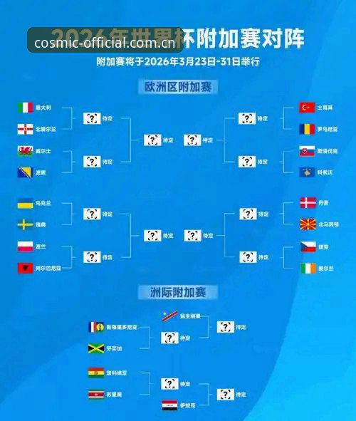 从签证困局看世界杯：资深体育迷分享赛事观看与出行策略
